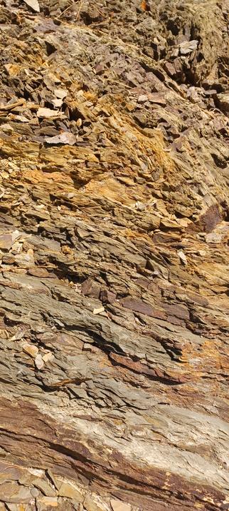 messy shale deposit with different colors from Rensselaer county NY. my own photo.