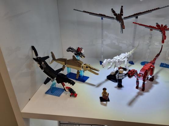 Kronosaurus (black and white) scaled to the Lego fig its eating
Platypterygius and muttaburrasaurus scaled to the scuba dude and standing figure, respectively. 
Above them is thapunngaka and ferrodraco scaled to the larger fig in the next post