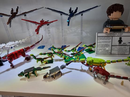 Kunburrasaurus and Minmi at the front, leaellynasaura in the mid ground woth Ferrodraco and Mythunga above them all scaled to the larger fig in the next post