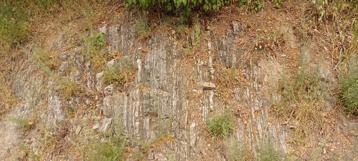 roadside outcrop showing vertically banded bedrock. inch thick bands (maybe marble? limestone? chert?) and dozens of layers less than a mm thick. alternating light and dark colors.