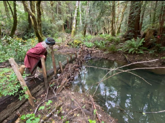 A cross section view of a BDA, human in red shirt inspects dam
