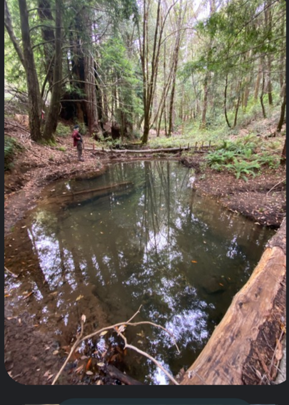 Another view of a long clear pool created by permeable BDA dam