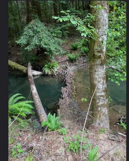 Looking across a dam, deep clear pool viewed above and below the dam.
