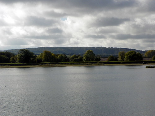 A photo titled "GOC Tring 056: Startop's End Reservoir, Grand Union Canal", taken near Bridge 132, Startopsend by Peter O'Connor aka anemoneprojectors on Flickr.