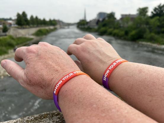 Two arms with pride wristbands that say Show your pride every day.