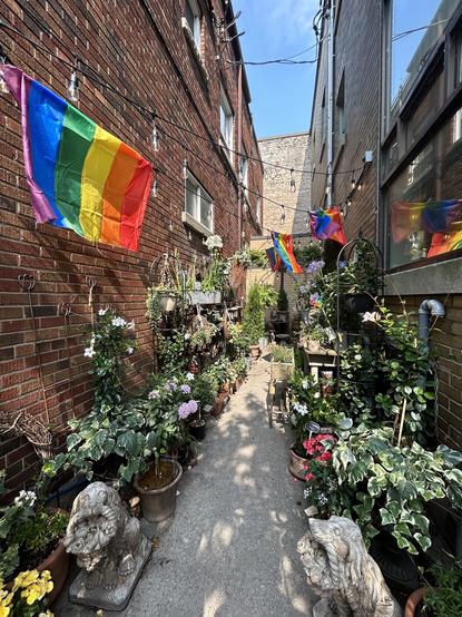 A local flower shop’s alleyway decked out with pride flags.