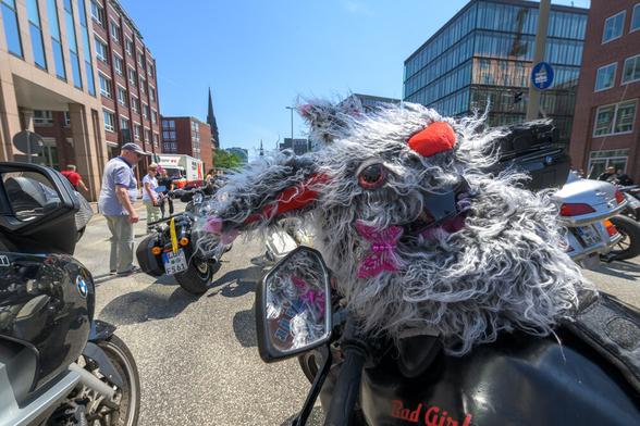 Eine Motorradfahrerin hat einen ziemlich verzottelten Helm im Hasen-Design