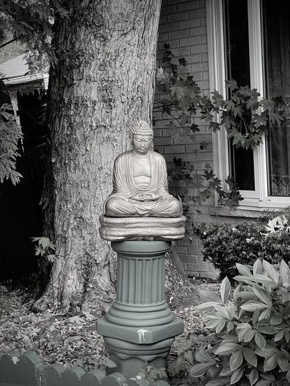 nearly grayscale photo of a statue of shakyamuni buddha on a platform in front of a tree next to a house