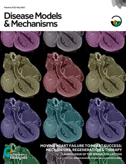 An array of a mouse heart image captured using contrast agent and micro-CT, shown with different colours. This is on the cover of the DMM Special Issue