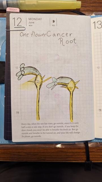 A watercolor and ink drawing of a naked broomrape, also known as a ghostpipe. The flower is white but the stalk is yellow