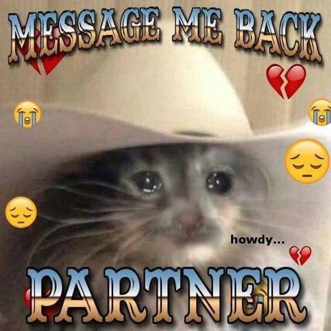 crying kitty in a stetson saying, 

MESSAGE ME BACK

PARTNER