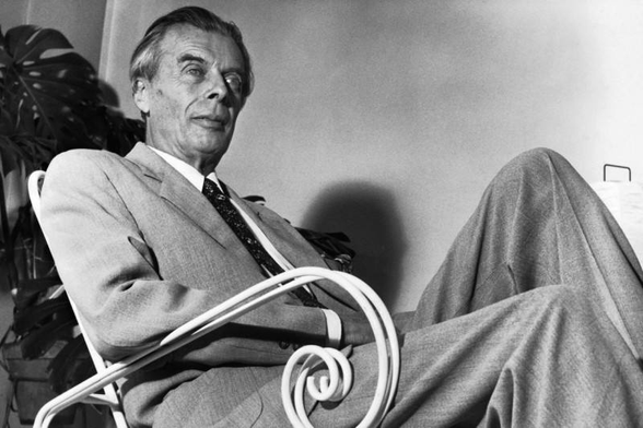 "The older dictators fell because they could never supply their subjects with enough bread, enough circuses, enough miracles and mysteries."
- Aldous Huxley
Brave New World Revisited