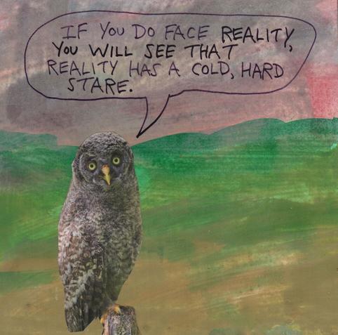 Owl is saying, "If you do face reality, you will see that reality has a cold, hard stare."