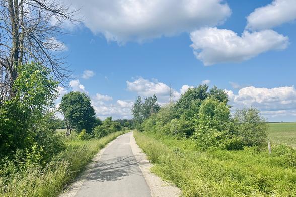 A lonely section of rail trail in Southwestern Ontario gently curving off to the right on a course nestled between bushes and trees under a mottled blue sky in the middle of farm country. A gopher has dived into the grasses on our approach just a few moments ago, hiding himself.
