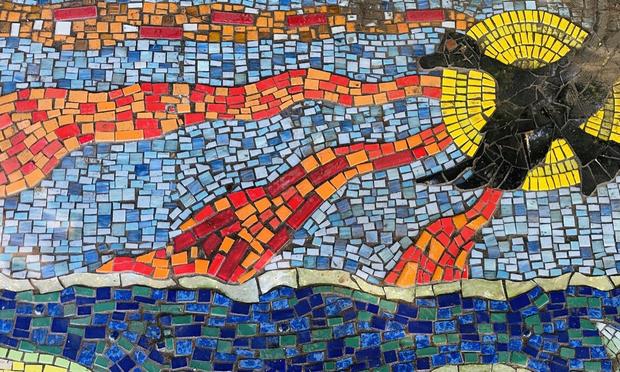 Bellinger River, mosaic, Australian wood duck?