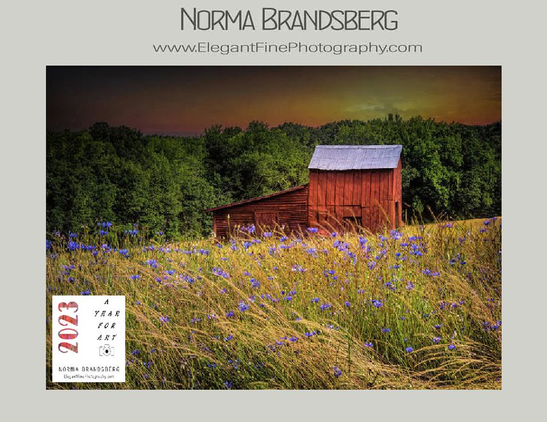 Virginia historic red tobacco barn surrounded by wild cornflowers here:

https://fineartamerica.com/featured/virginia-tobacco-barn-in-wild-cornflowers-norma-brandsberg.html