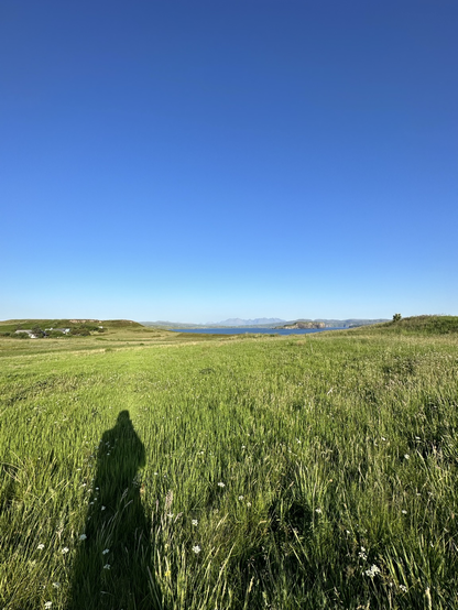I have quoted this poem before and although my photograph isn’t a literal illustration, its greenness and azure purity does strike that note. Although the Cuillins can be seen in the distance the image is essentially grass and sky.