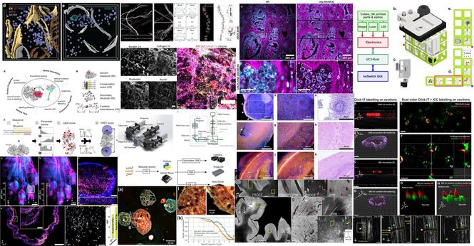 Composite image of figures extracted from the highlighted preprints.