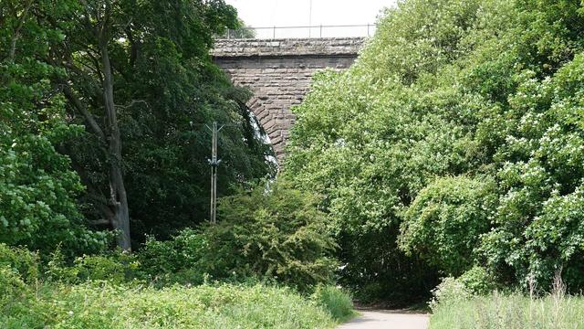 An old stone viaduct peeking out among masses of trees and bushes. Only one main arch can be seen, with a second arch hidden behind a sprawling green tree on the right. At the left dark trees rise up, also covering the viaduct. Below it is a grassy meadow area. A tarmac path runs under the viaduct over to the right.