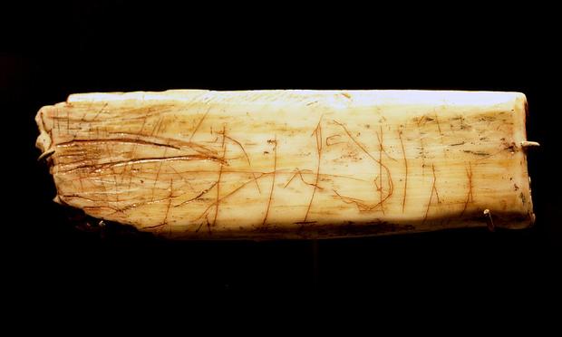 A fragment of a blat longish bone, where several lines have been marked perpendicular to the length of the bone, which other lines clearly sketch the face and neck of a horse, and other, more faint lines, seem to indicate the ears and a short, stand up mane. The lines look reddish against the cream color of the bone itself.