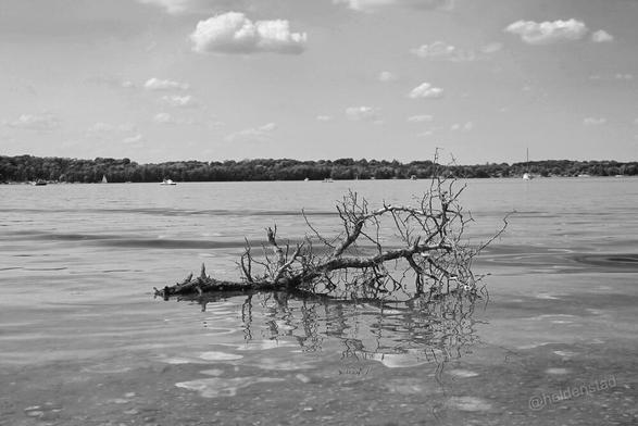 Een grote oude tak ligt in het eerste ondiepe stuk van een meer. Verder op het water zijn boten te zien. In de achtergrond een rij bomen over de hele breedte van het beeld. Enkele wolken in de lucht.