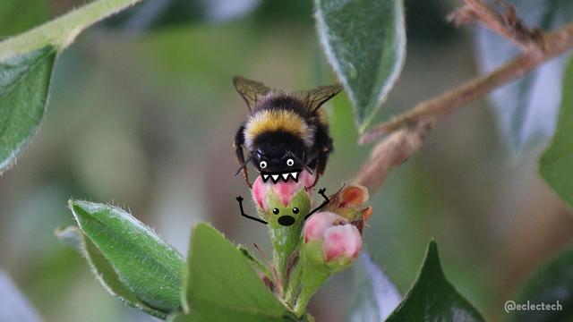 A close up photo of a bee sitting on a flower. It's actually upside down, as the bee was dangling, but turning it round made it look like the bee was chomping on the flower head and that made me chuckle. I've drawn om nom nom style teeth on the bee, and beedy eyes, while the flower has a shocked expression and hands and arms raised in alarm.