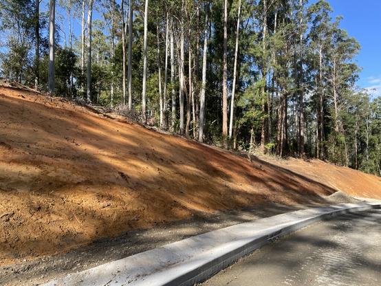 Widened road, Gleniffer Rd, Bellingen