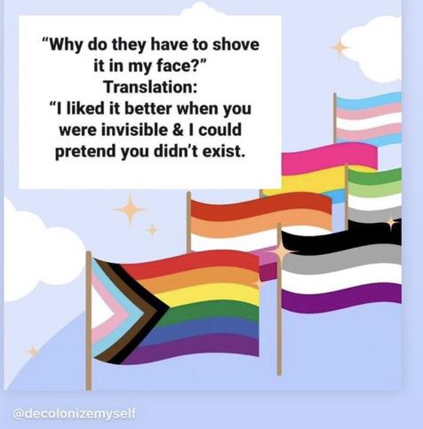 "Why do they have to shove it in my face?"
Translation: "I liked i better when you were invisible and I could pretend you didn't exist."
Image is of a whole bunch of inclusivity flags.