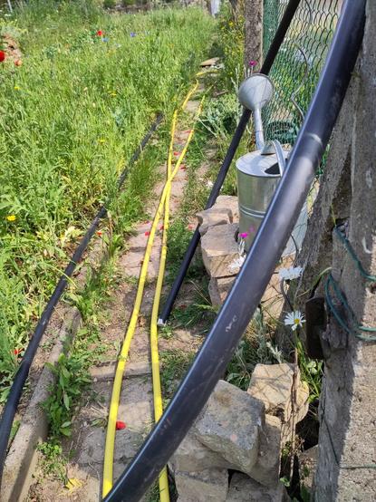 Blick entlang eines Wegs im Gemüsegarten. Links wachsen Wildblumen und Gemüse, rechts ist ein Zaun., an dem eine alte Zink-Gieskanne steht. Auf dem Plattenweg in der Mitte liegen Schläuche für die Bewässerung.