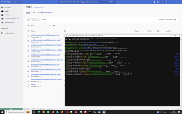 download of GoFAST containers