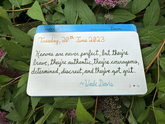 Inspirational fountain pen written quote by Wade Davis
