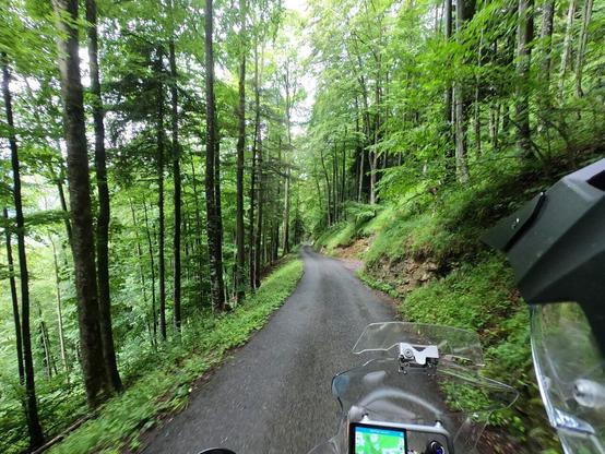 Foto des de la càmara del casc, d'una carretera estreta creuant una muntanya, en un bosc verd i humit de fulla caduca.