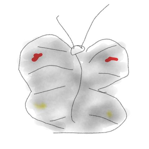 The picture I drew, it's a black butterfly with two red spots (I was sure of) and two yellow dots that I wasn't sure of.