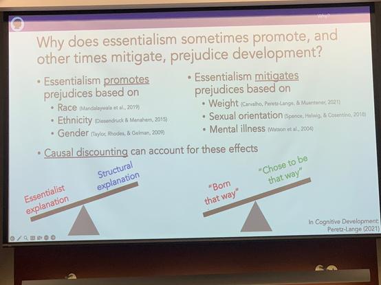 Dr. Rebecca Peretz-Lange's summary of the seemingly opposed results and description of the potential explanation.