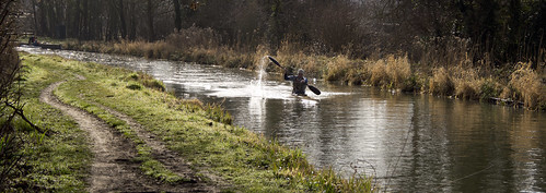 A photo titled "caneo 01", taken near Weir 10, Ham Marsh Box Weir by barryskeates on Flickr.