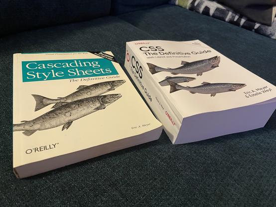 Two O'Reilly books side by side, with fish on the cover: Cascading Style Sheets, The Definitive Guide second edition (about 500 pages) - and CSS The Definitive Guide fifth edition (about 1100 pages)