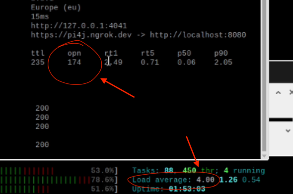 Indicating the number of NGRok connections and CPU usage.