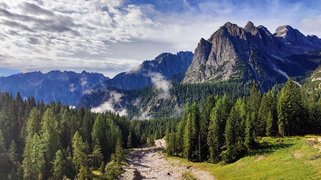 Paisatge alpí, amb un pic a la dreta i una vall amb coníferes