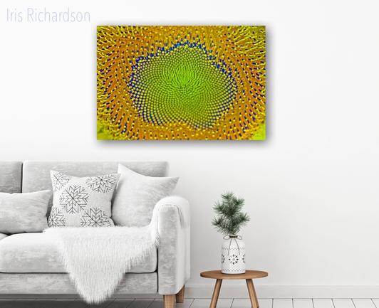 A sunflower core macro abstraction. I pushed the colors to bring out the beautiful texture of the sunflower core. The colors are vibrant yellows, warm oranges, cool dark blue and a bright lime green. Artist Iris Richardson, Gallery Pictorem, free shipping in the USA and Canada