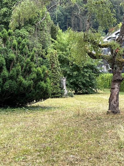 A park with a mowed lawn, a few bushes, a gnarly tree and an angel statue in the distance.