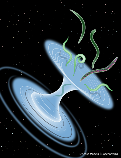 Artwork of a wormhole in space with fluorescent C. elegans coming out one side.