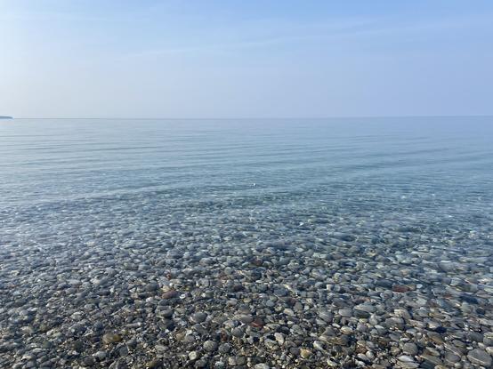We’re standing at shore looking out at calm, clear water. A few strides out, a tiny speckled blue-green eggshell floats.