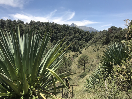 Cráter Xitle con Ajusco al fondo.
