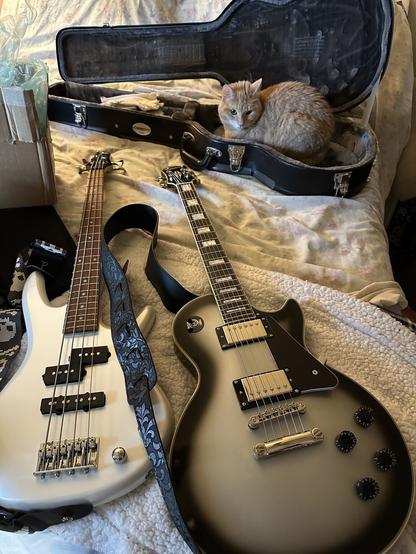 Photo of white Ibanez Mikro four string bass, silver and black Epiphone Les Paul guitar, and orange cat sitting inside the guitar case.