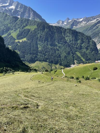 Alpwiese, die kürzlich gemäht wurde. Das Heu wird nun von einem Alpbauern mit Bläser zusammengebracht.