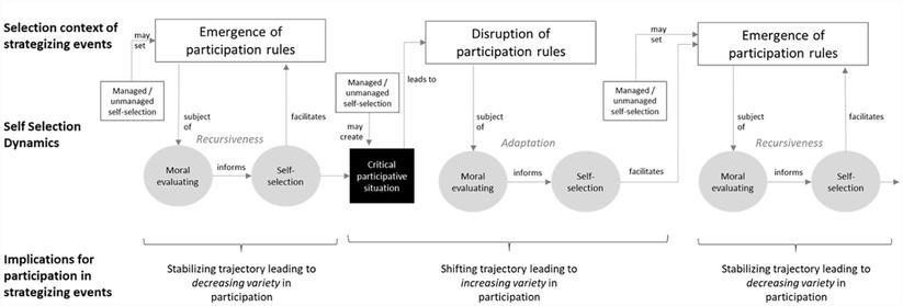 Process model of self-selection in strategy processes