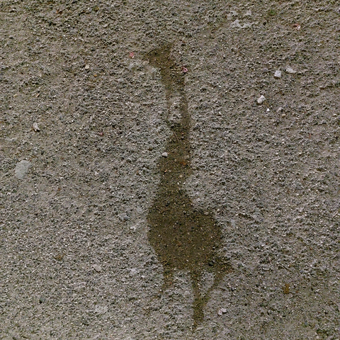 The original photo of a Sidewalk