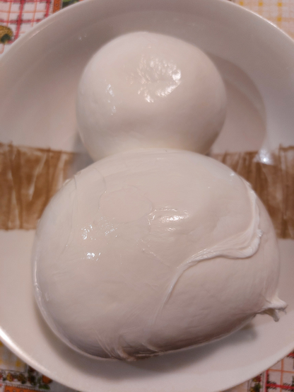 The original photo of a mozzarella