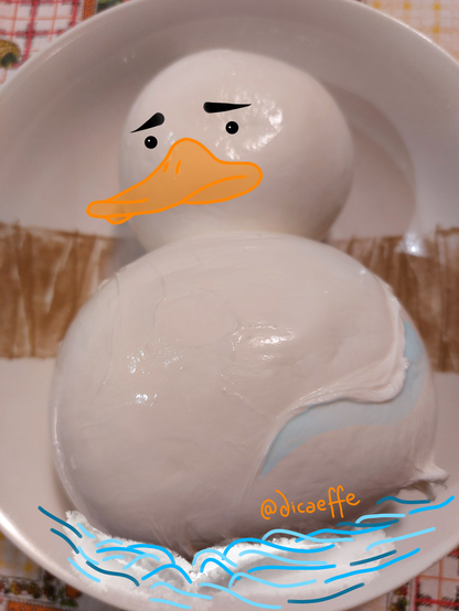 The draw of a duck over the photo of a mozzarella
