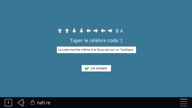 Ruffle, exécution d’une animation flash écrite en AS3 via Flex Builder 3.
Le preloader fonctionne. Les images, champ texte et bouton sort visibles.
Cependant, les événements ne semblent pas (encore) fonctionner correctement.